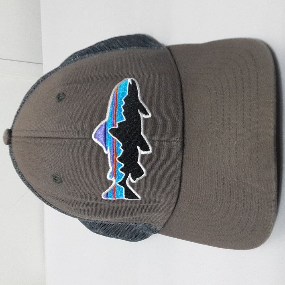 Patagonia Fitz‎ Roy Trout Trucker Hat